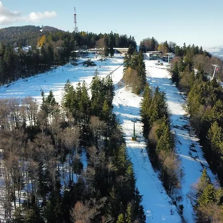 Forest View * Hočko Pohorje