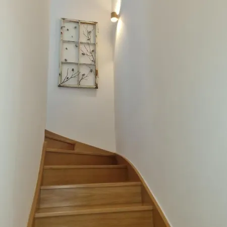 Forest View, 2-floor Hočko Pohorje