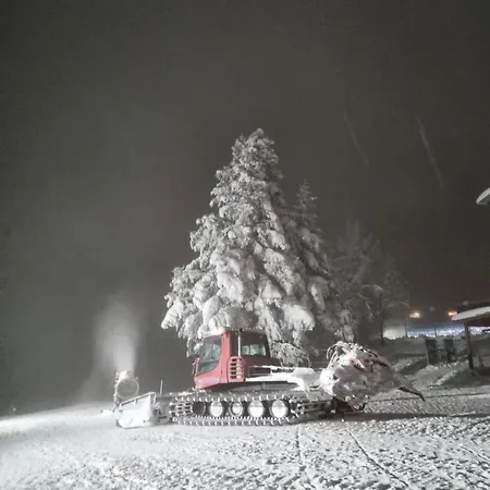 Apartmán Forest View Hočko Pohorje