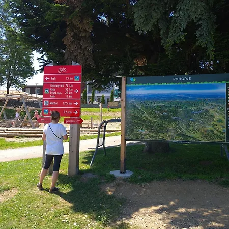 Forest View Apartmán